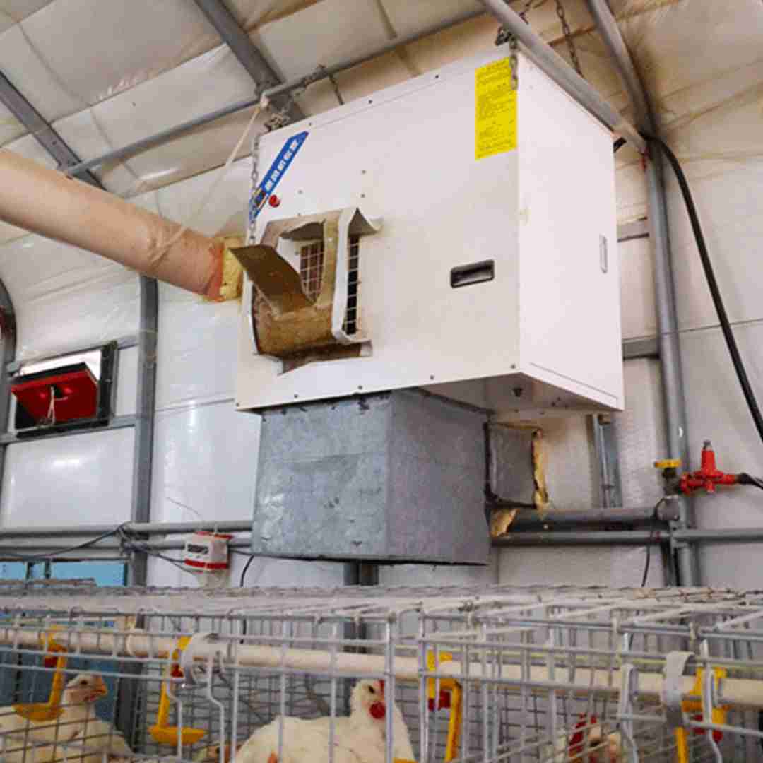 育雛養雞場  快速加熱取暖 永備熱風機燃油熱風機 HB燃氣直燃型熱風機 